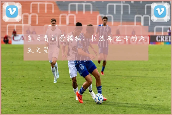 皇马青训营揭秘:拉法布里卡的未来之星
